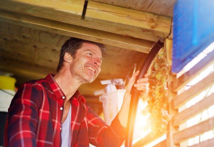 Nilfisk Multi II 22 Inox Nat- en droogzuiger 1200 W 22 l Halfautomatische filterreiniging-6