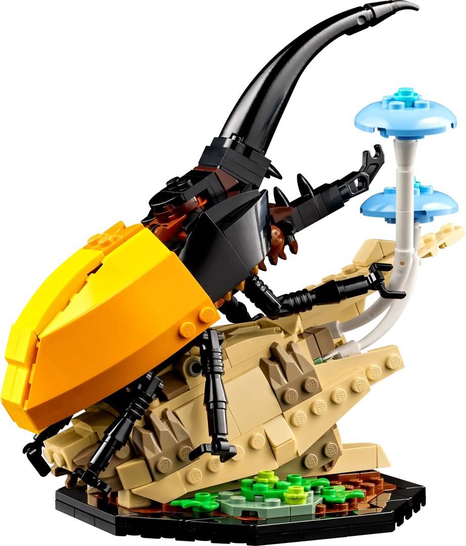 LEGO Ideas De Insectencollectie - 21342-5