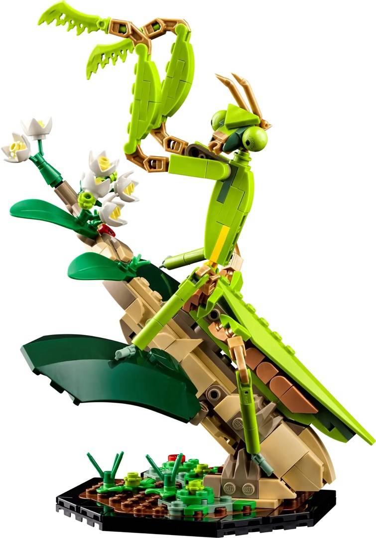 LEGO Ideas De Insectencollectie - 21342-4
