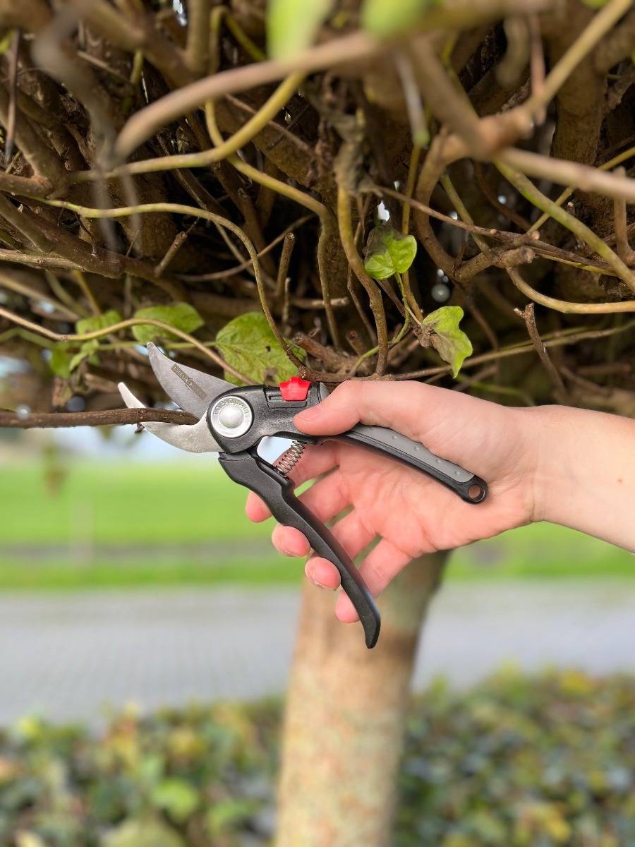Talen Tools - Snoeischaar - Premium - Voorbijsnijdend - Verstelbaar - 18,5 cm-2
