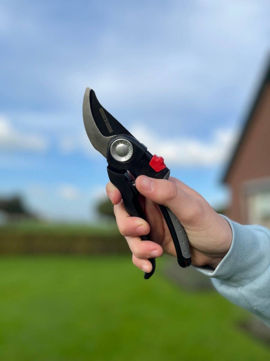 Talen Tools - Snoeischaar - Premium - Voorbijsnijdend - Verstelbaar - 18,5 cm-4