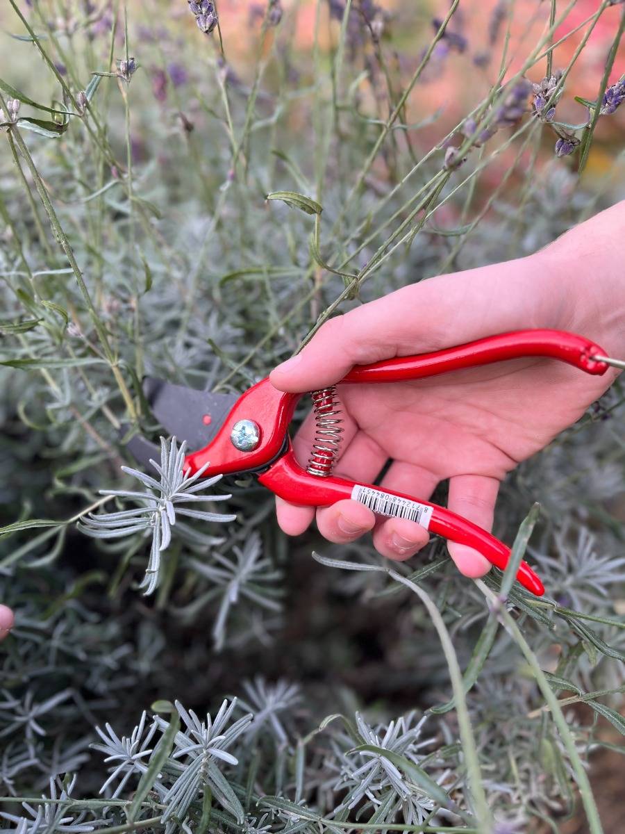 Talen Tools - Snoeischaar - Rood-1
