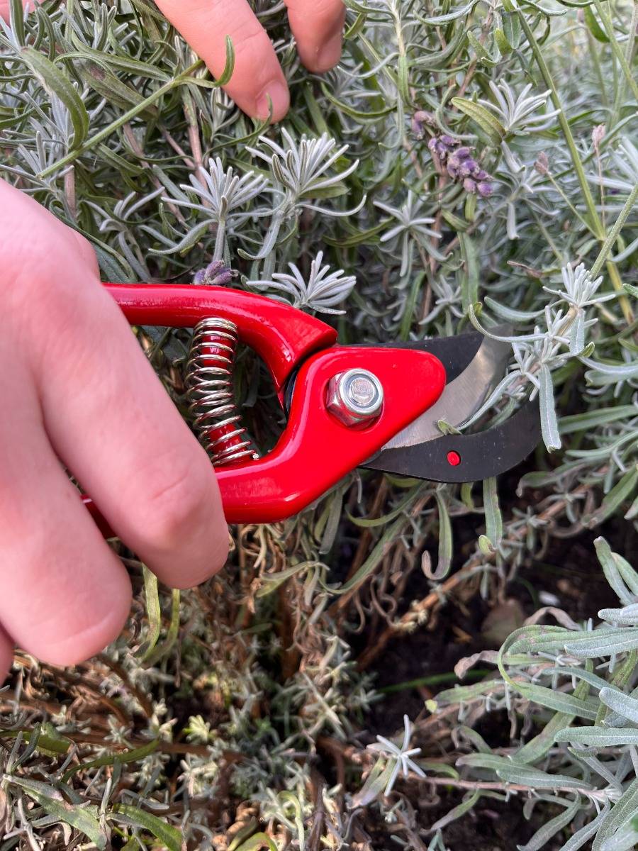 Talen Tools - Snoeischaar - Rood-2