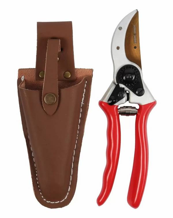 Talen Tools - Snoeischaar - Titanium - Voorbijsnijdend - High Quality - Met lederen holster - 21 cm