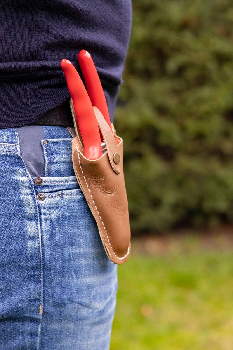Talen Tools - Snoeischaar - Titanium - Voorbijsnijdend - High Quality - Met lederen holster - 21 cm-4