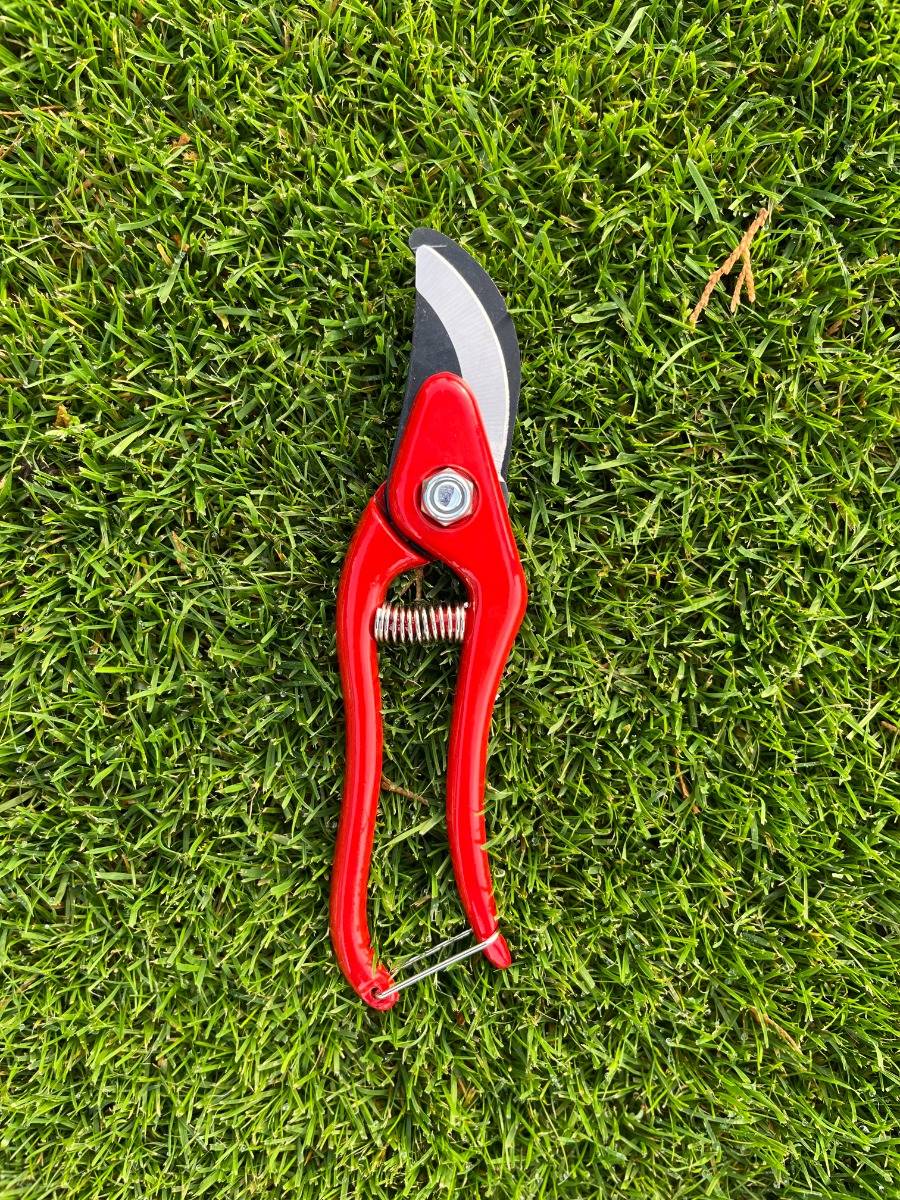 Talen Tools - Snoeischaar - Rood-3