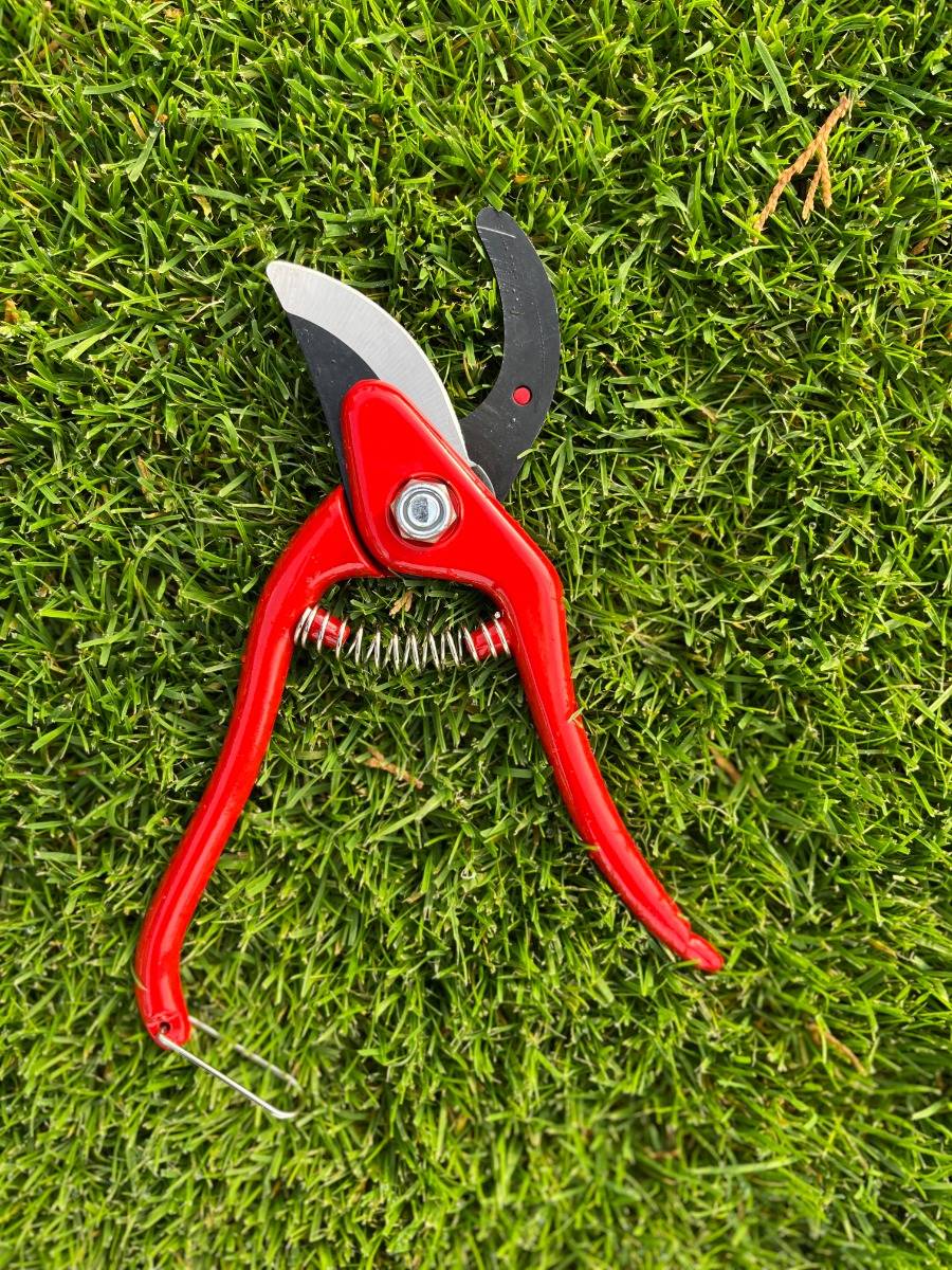 Talen Tools - Snoeischaar - Rood-4