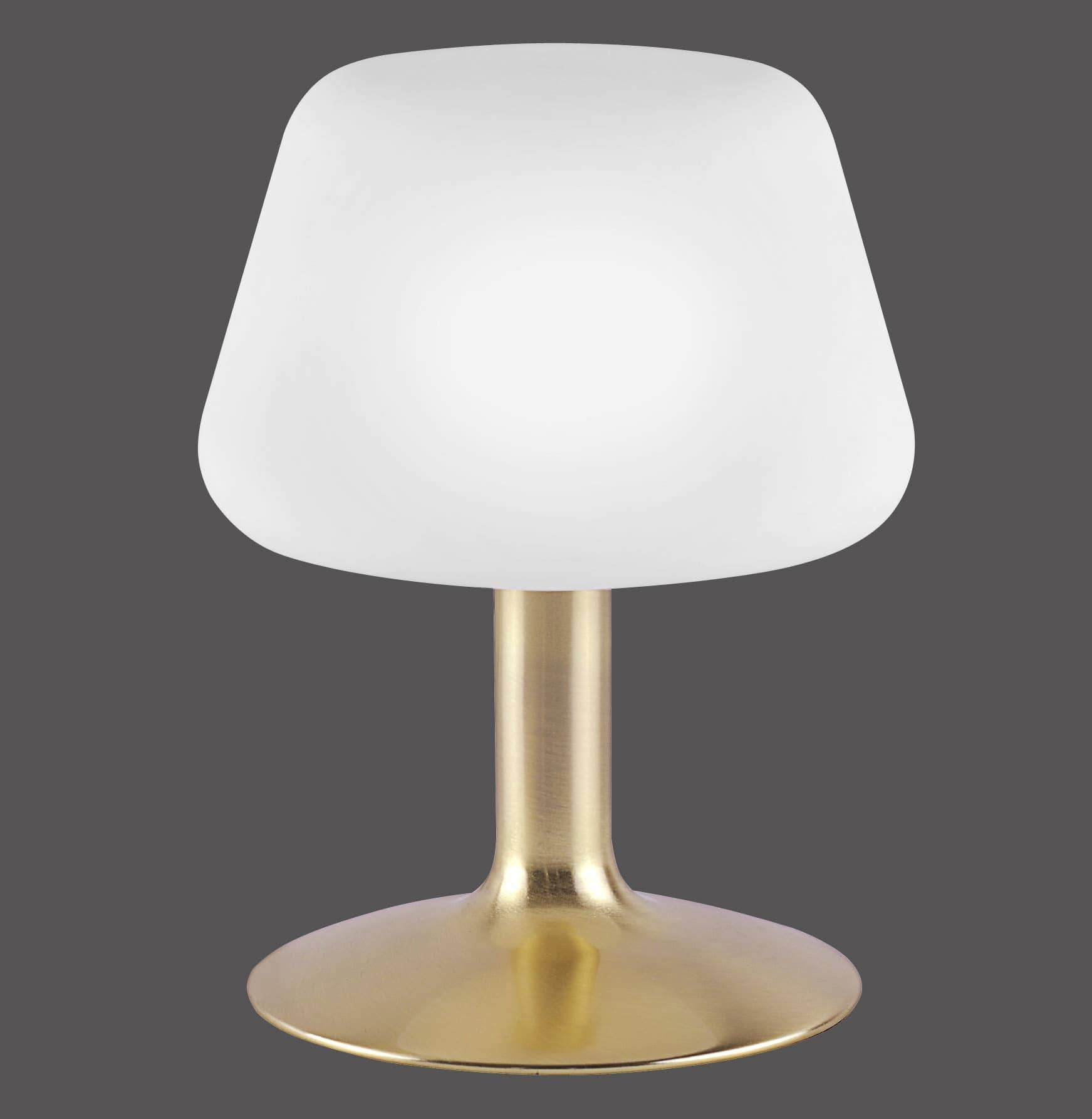 Symboolafbeelding voor Paul Neuhaus TILL 4078-60 Bedlamp LED G9 3 W Warmwit Messing (mat)