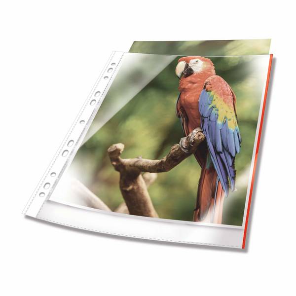 Duurzame A4-documentmappen, bovenaan open, 25 stuks, kristalhelder, rood