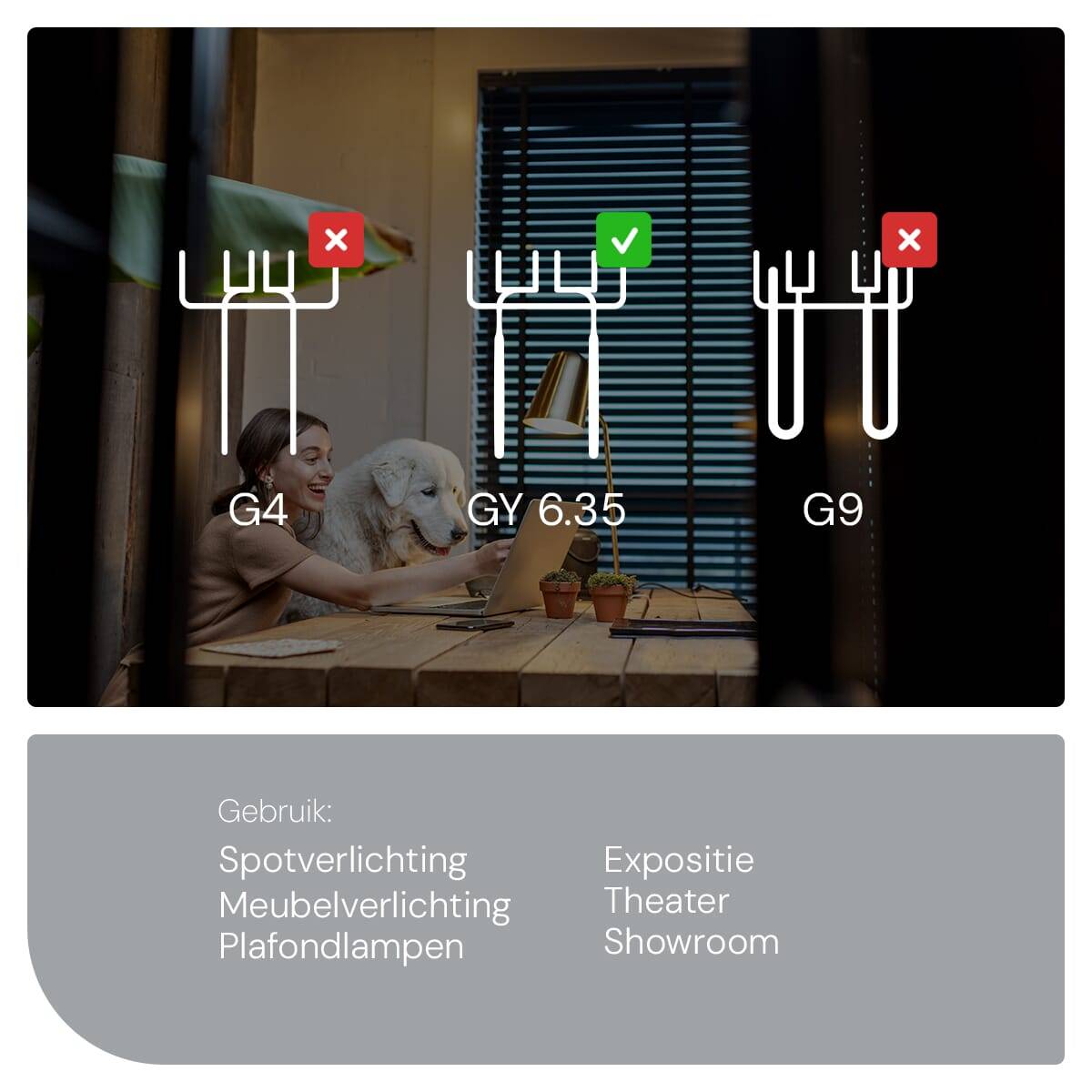 SPL GY6.35 LED Lamp 3.5W Dimbaar - Warm Wit - 380lm - LED T17 Buislamp - 5 Stuks-2