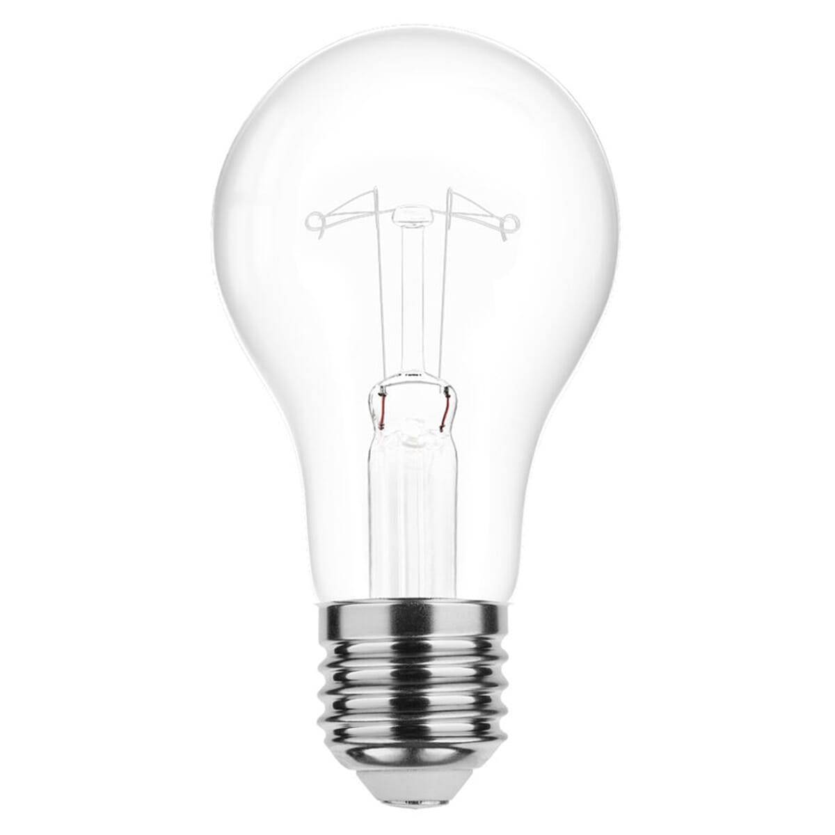 Technik Gloeilamp G80 E27 Helder - 150W 1800lm 2700K - Warmwit Dimbaar - 100 stuks-0