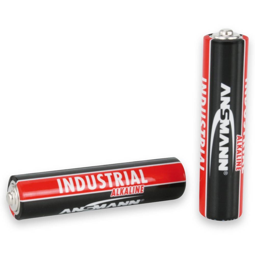 Ansmann Batterijen AAA 10ST-2