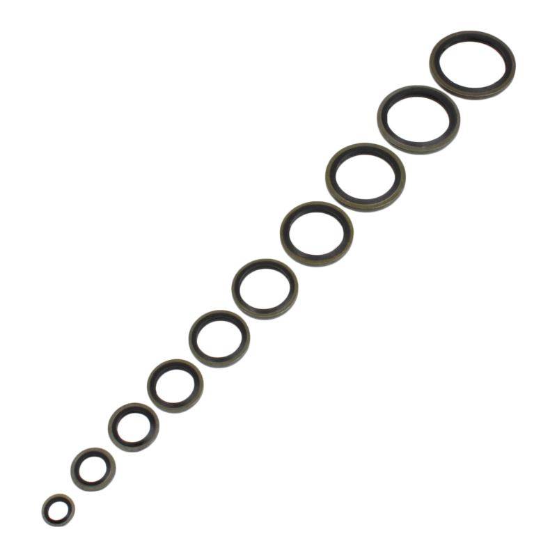 ASTA Assortiment Multiseal carterplug ringen 150-delig-1