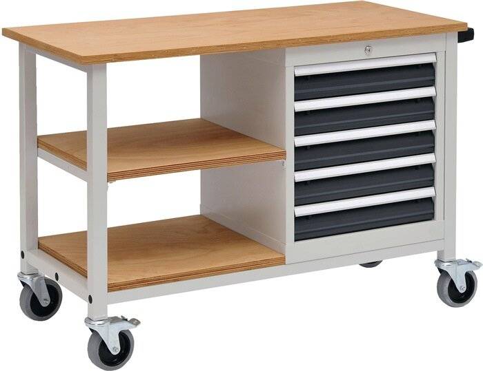 Werkbank B1200xD540xH880mm beukenhout multiplex lichtgrijs / antracietgrijs 5 la