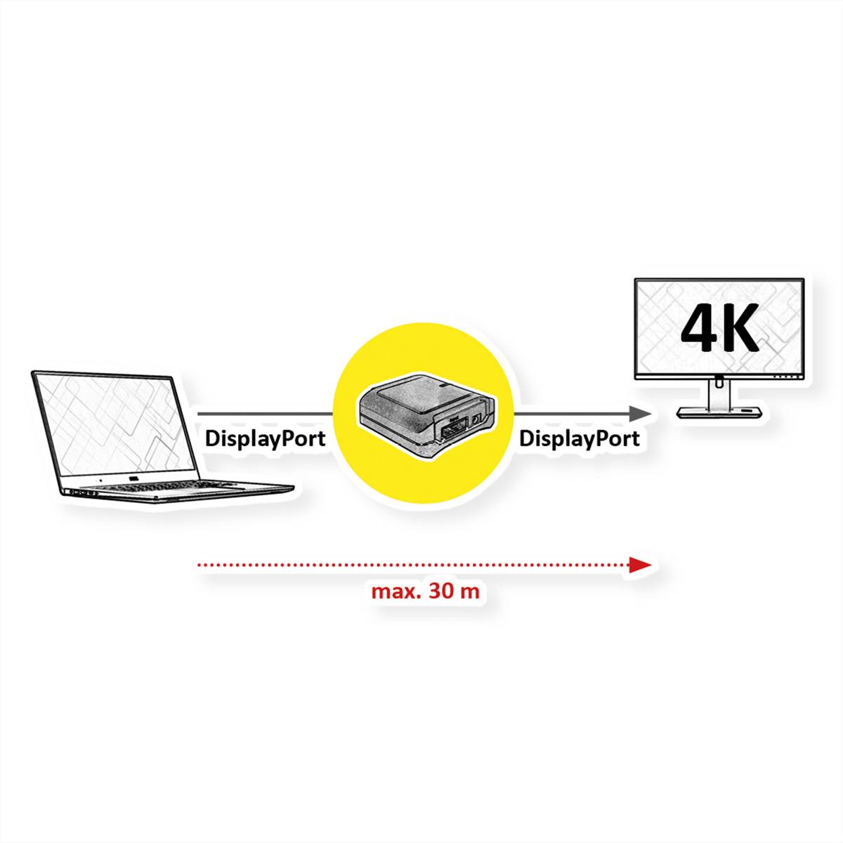 ROLINE DisplayPort Extender, 30m-1