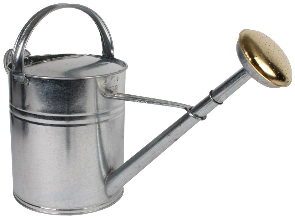 Talen Tools - Gieter - Metaal - 10L - Verzinkt-0