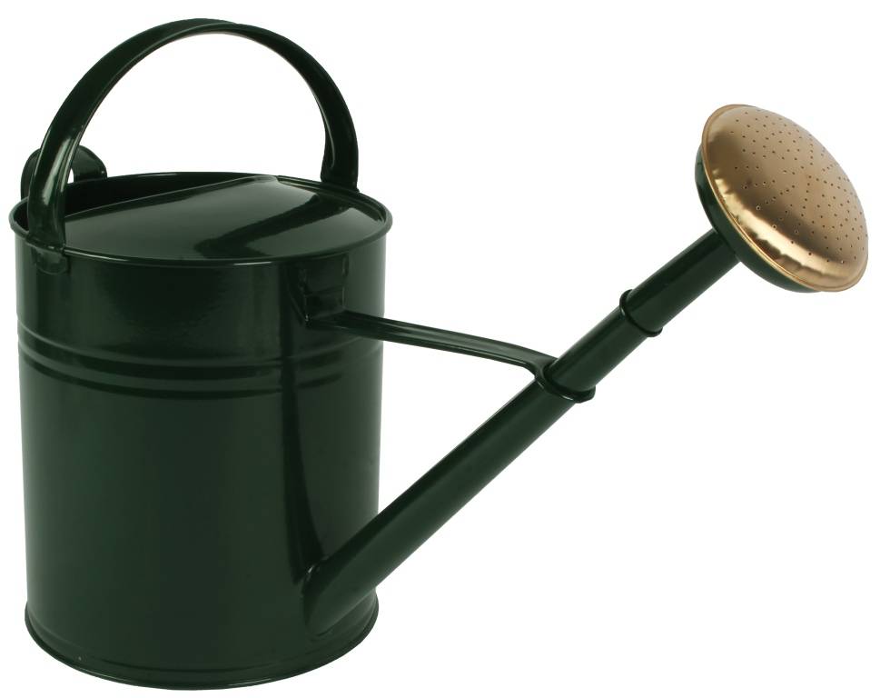 Talen Tools - Gieter - Metaal - 10L - Groen-0