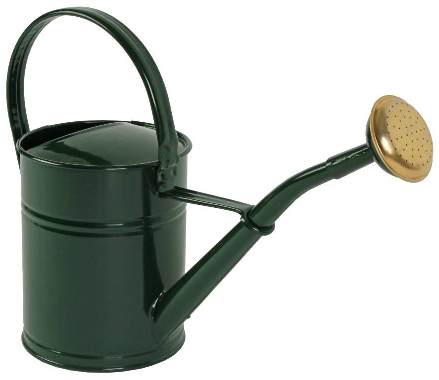 Talen Tools - Gieter - Metaal - 2L - Groen-0
