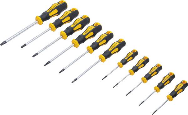 BGS Schroevendraaierset voor Torx met boring T6 - T40 11 delig
