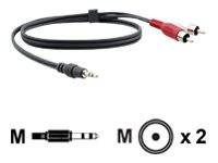 Kramer Electronics C-A35M/2RAM-15 - 3.5mm - Mannelijk - 2 x RCA - Mannelijk - 4,6 m - Zwart-0