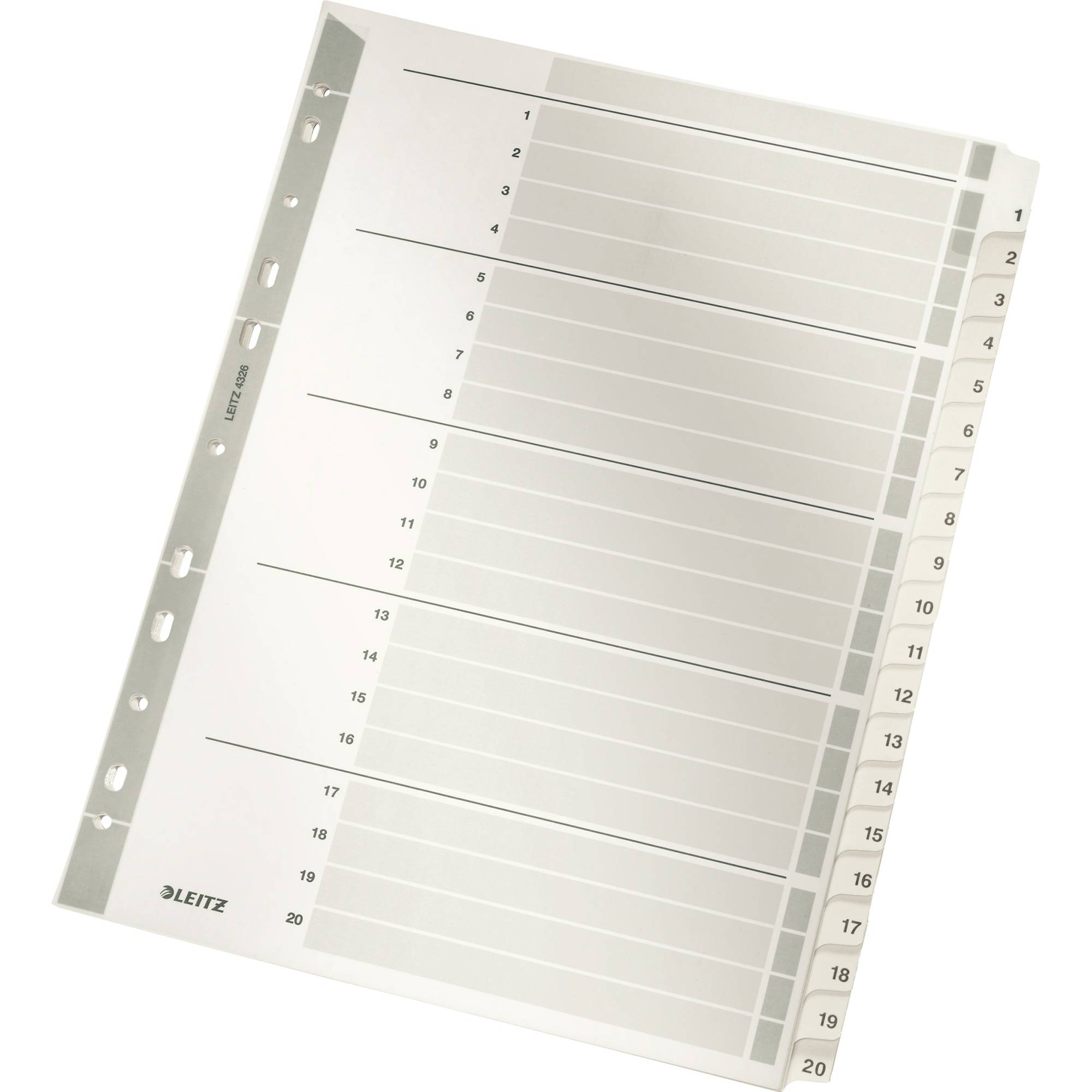 Leitz 43260000 DIN A4 Karton (dun) Grijs 43260000