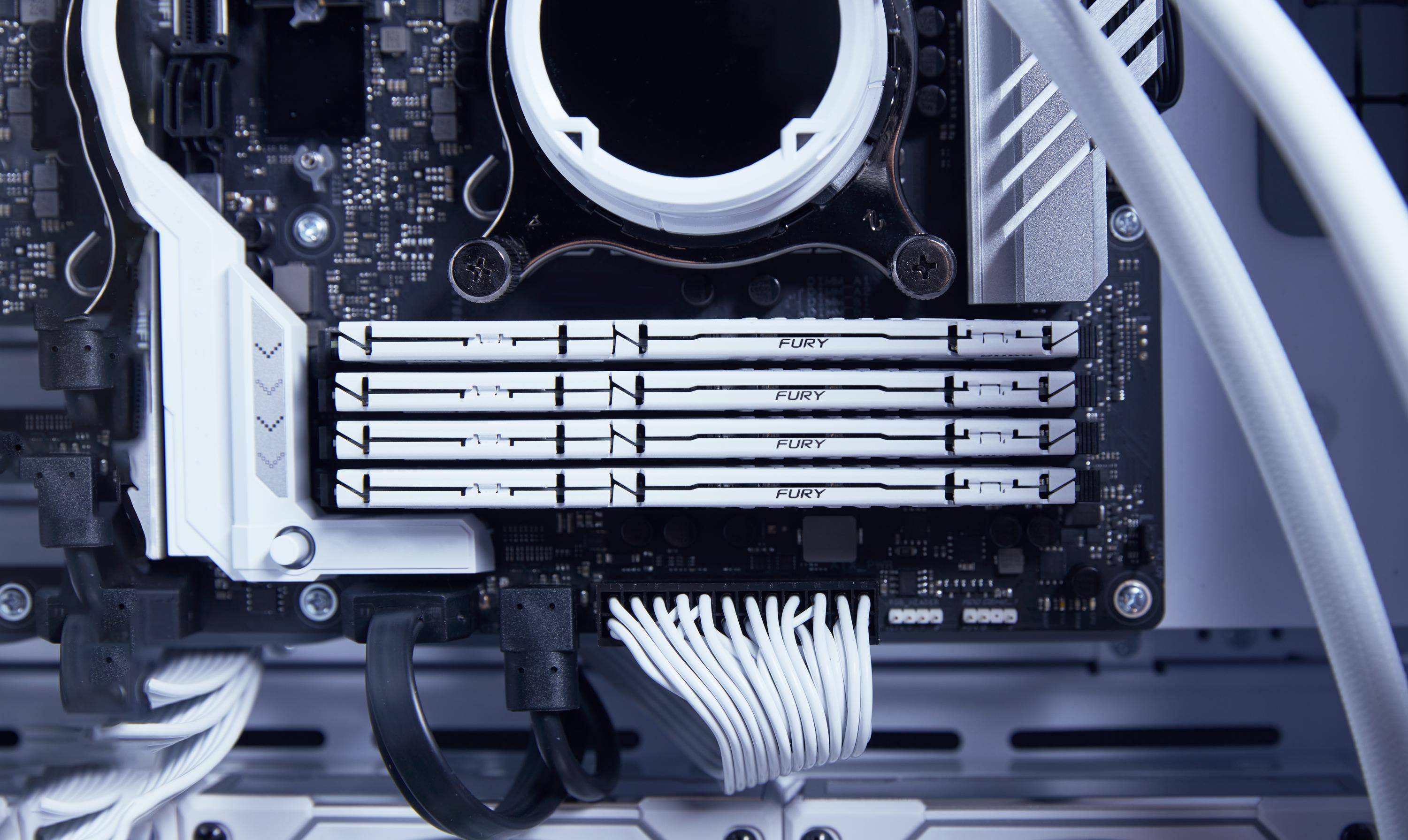 Kingston FURY™ Beast DDR5 Speicher 16GB 6400MT/s CL32 DIMM Weiß XMP-2