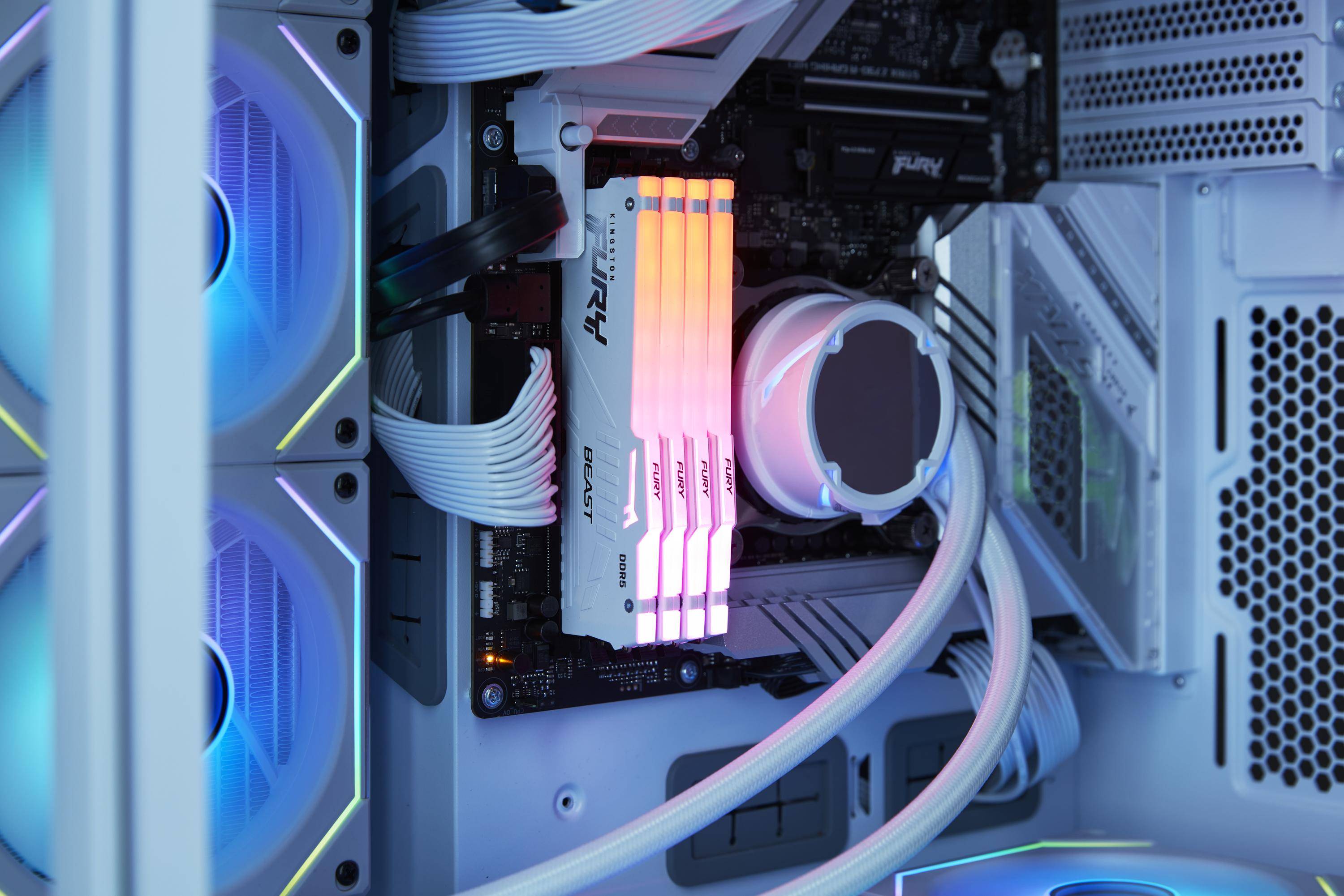 Kingston FURY Beast RGB - DDR5 - Modul - 16GB - DIMM 288-PIN - 6000 MHz / PC5-48000 - CL30 - on-die ECC - weiß (KF560C3-3