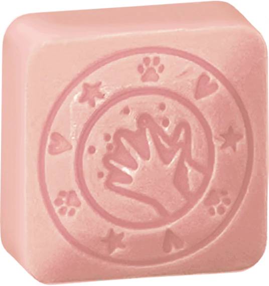 COLOP little NIO Cleany Stamp Leo retail-4