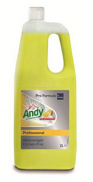 Allesreiniger Andy Professional 2 Ltr-0