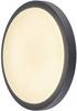 SLV 229965 Buitenlamp (plafond) LED 21 W Antraciet