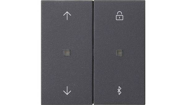 GIRA 536728 S3000 Jaloezieën + Timer Bluetooth 55 Antraciet (536728)