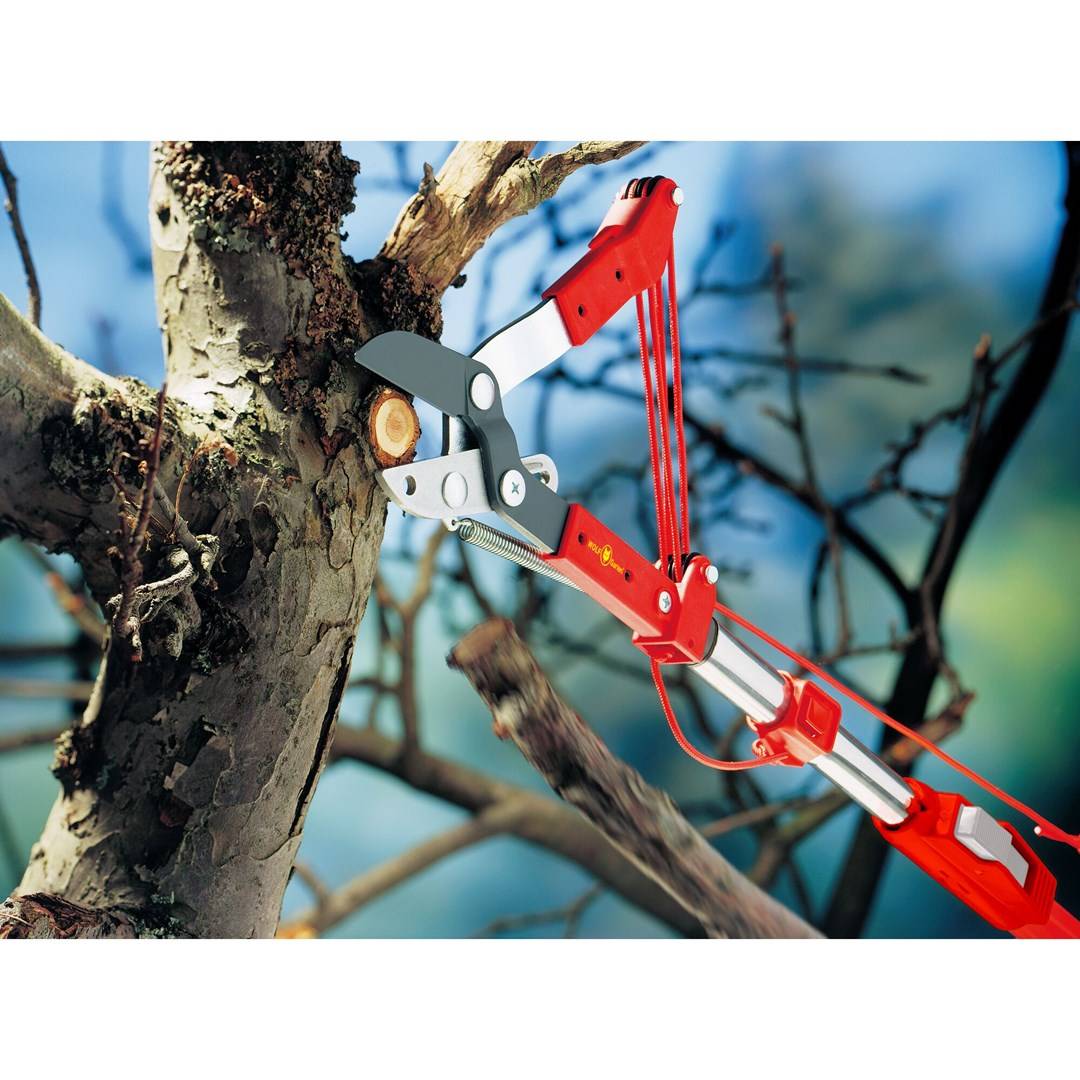 WOLF-Garten Accu Heggenschaar 38 mm Aanslagactie Compatibel met Multi Change (71ACA004650)-1
