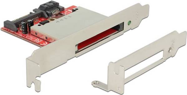 DeLOCK - Kaartlezer (CF I, CF II) - Serial ATA (91495)