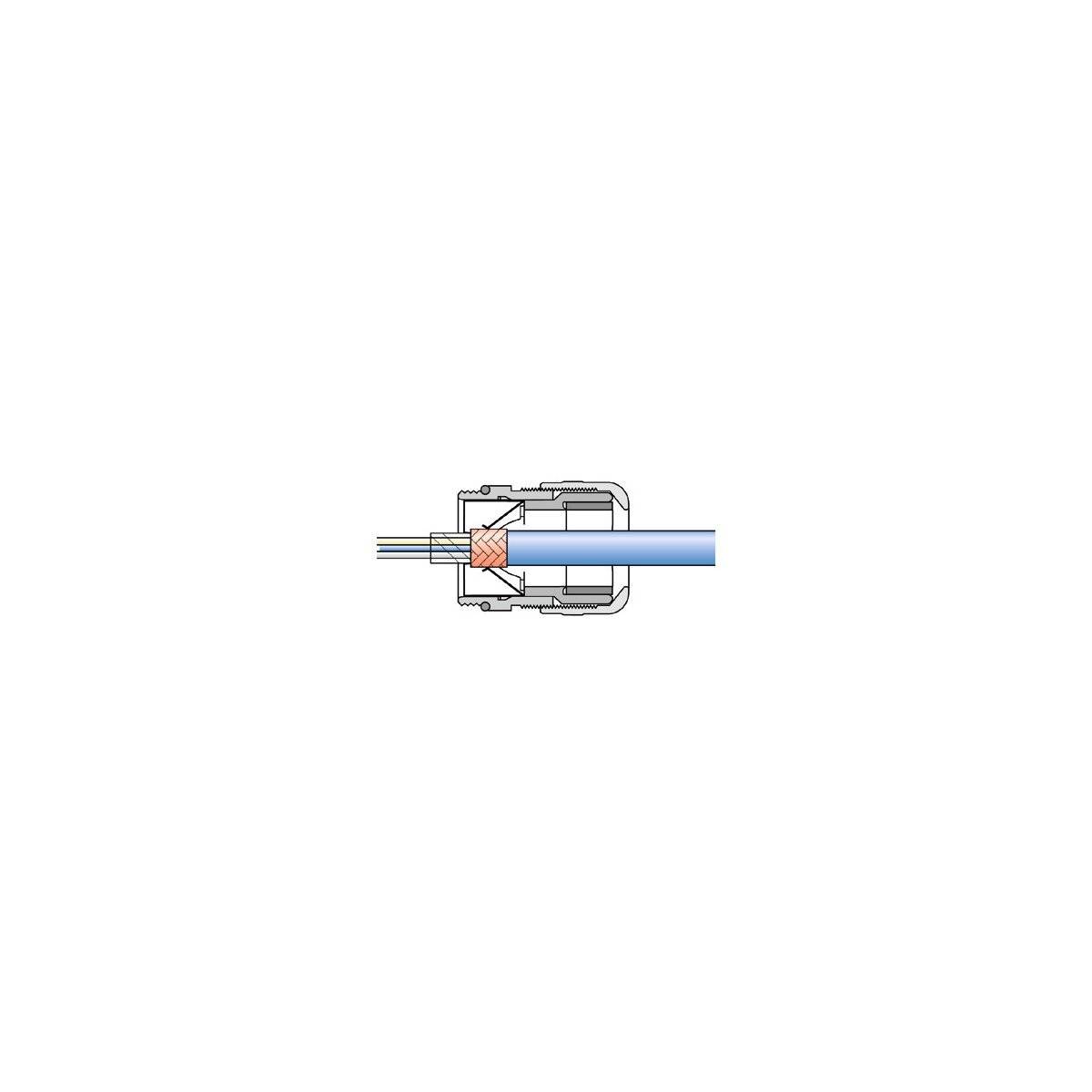 LAPP 53112536 Wartel EMV M50 Messing Messing 1 stuk(s)