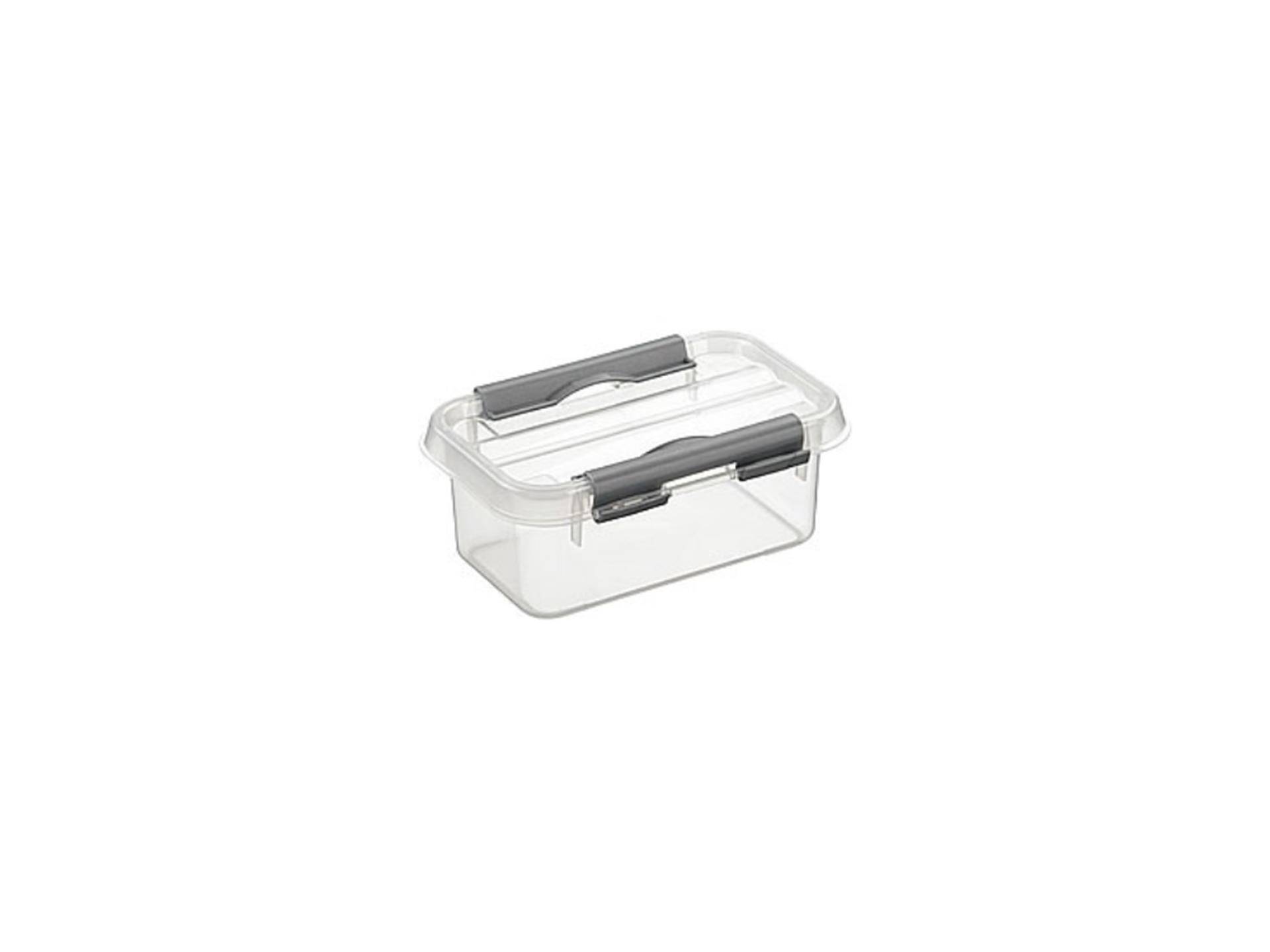 Sunware Q-Line Opbergbox 0.5L Transparant/Zilver-0