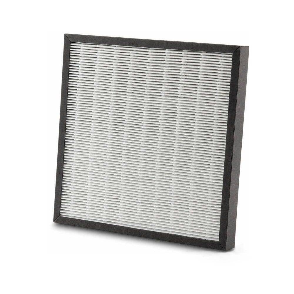 DeLonghi AC100 Filter AC100 Filter Actief koolstoffilter (EPA) Meerkleurig Koolstoffilter-1
