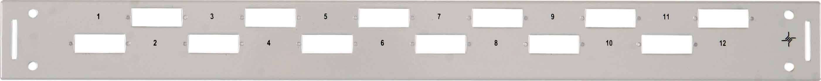 Telegärtner 19Z.Frontplatte 1HE TN-FP12SCD-BV-1H-1