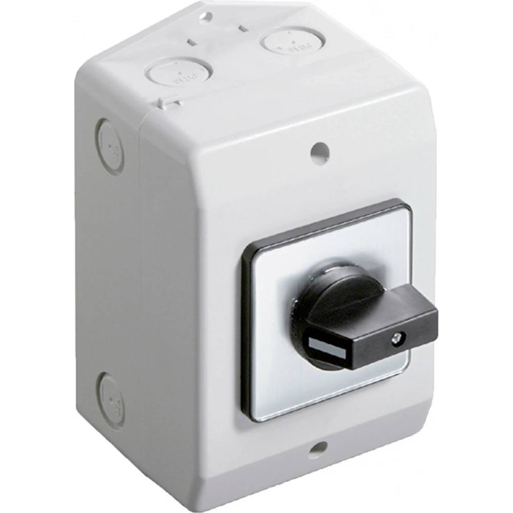 Werkschakelaar 25A-2P Opbouw Ip54-0
