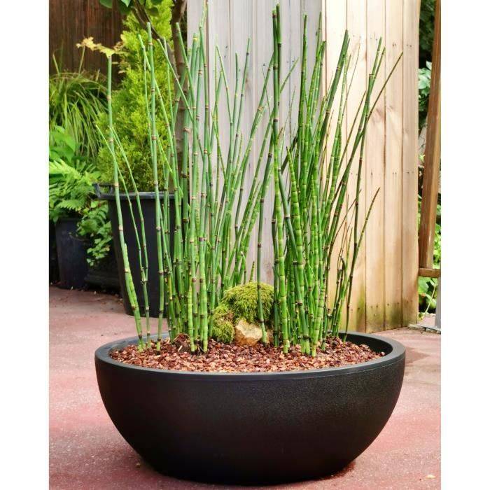RIVIERA Bloempot - Graniet - Ø 40 cm - H15 cm - Zwart D40-1