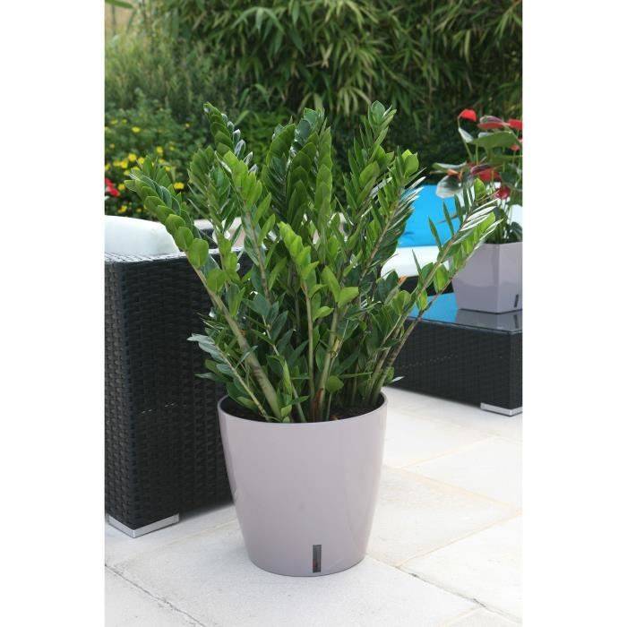 RIVIERA Ronde Plastic Bloempot - EVA NEW - Ø 45 x H 45 cm - 49 L - Taupe H45-1