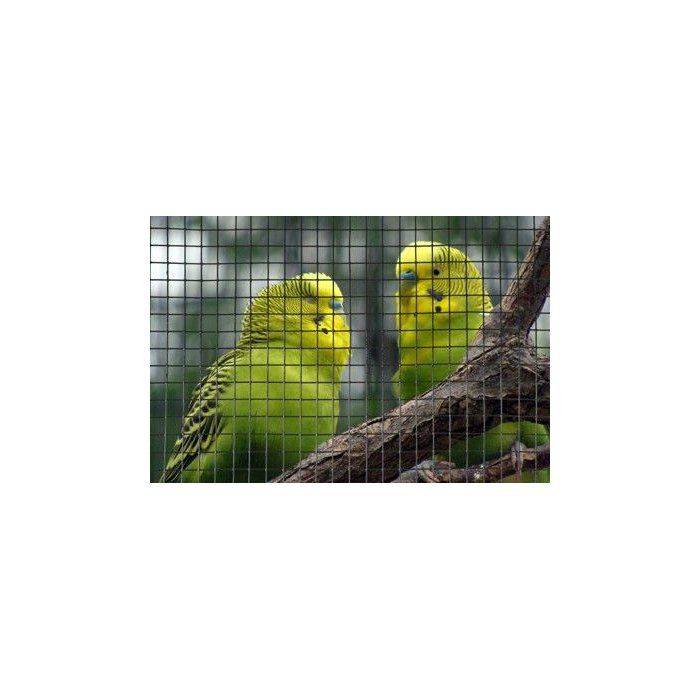 Vierkante Draadgaas - NATUURLIJK - 0,5 x 3 m - 19 mm Dikte - Groen-1
