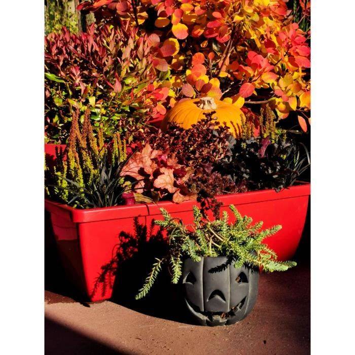 RIVIERA EVA Set van 2 Plantenbakken - Plastic - 57 x 19,5 x 19,5 cm - Rood-2