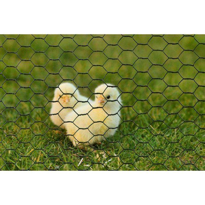 NATURAL Gegalvaniseerd Hexagonaal Draadgaas - 0,5 x 3 m - Dikte 13 mm - Groen-0