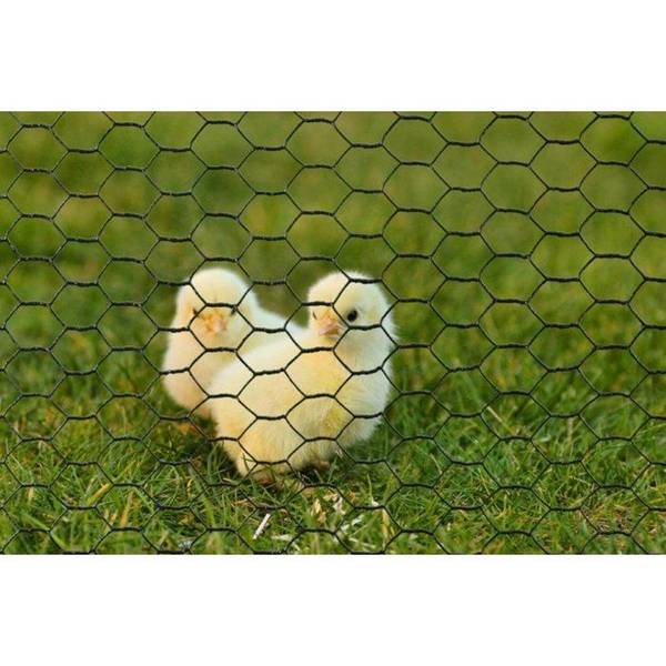 NATURAL Gegalvaniseerd Hexagonaal Draadgaas - 0,5 x 3 m - Dikte 13 mm - Groen
