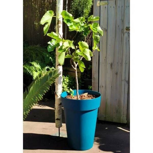 RIVIERA SOLEILLA Bloempot - Plastic - H 53 cm - Diameter 39 cm - Blauw H52 D39