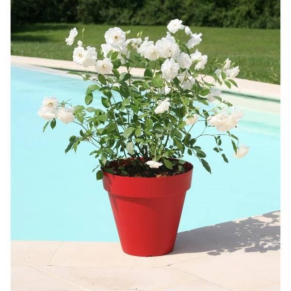 RIVIERA Bloempot - Soleilla Rond - Ø 39,2 x 35,8 cm - 25 L - Rood