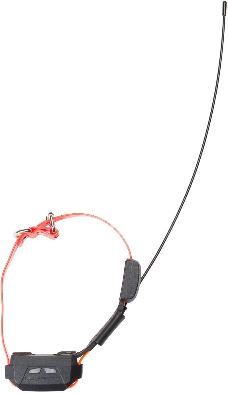 NUM'AXES Compleet Volgsysteem - CANICOM GPS MINI - Trainingsfunctie-4