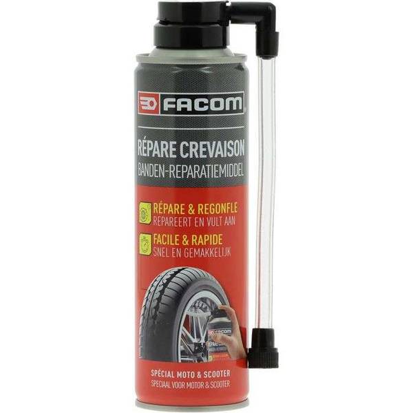FACOM reparaties Lekke motor - 250 ml