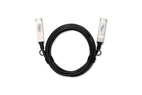 Zyxel DAC100G-3M-ZZ0101F InfiniBand en glasvezelkabel QSFP28 DAC Zwart