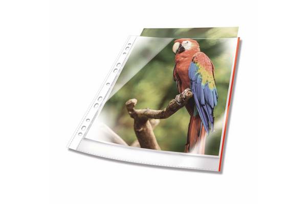 Duurzame A4-documentmappen, bovenaan open, 10 stuks, kristalhelder, rood